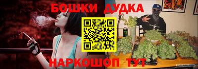 индика Гусиноозёрск
