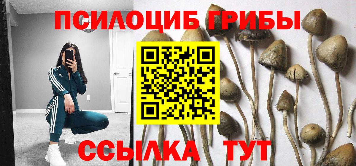 Псилоцибиновые грибы GOLDEN TEACHER  Вход с VPN  Надым 